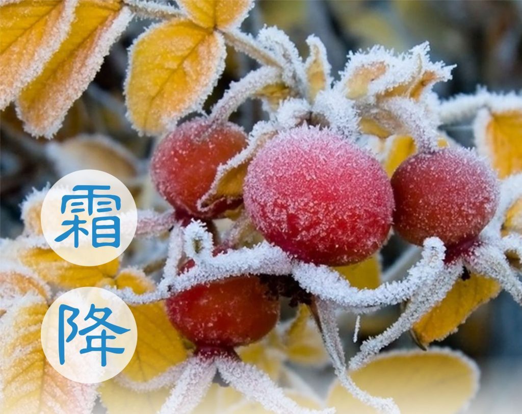 ShuangZiang
