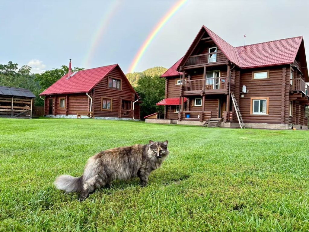 Лузарина кот
