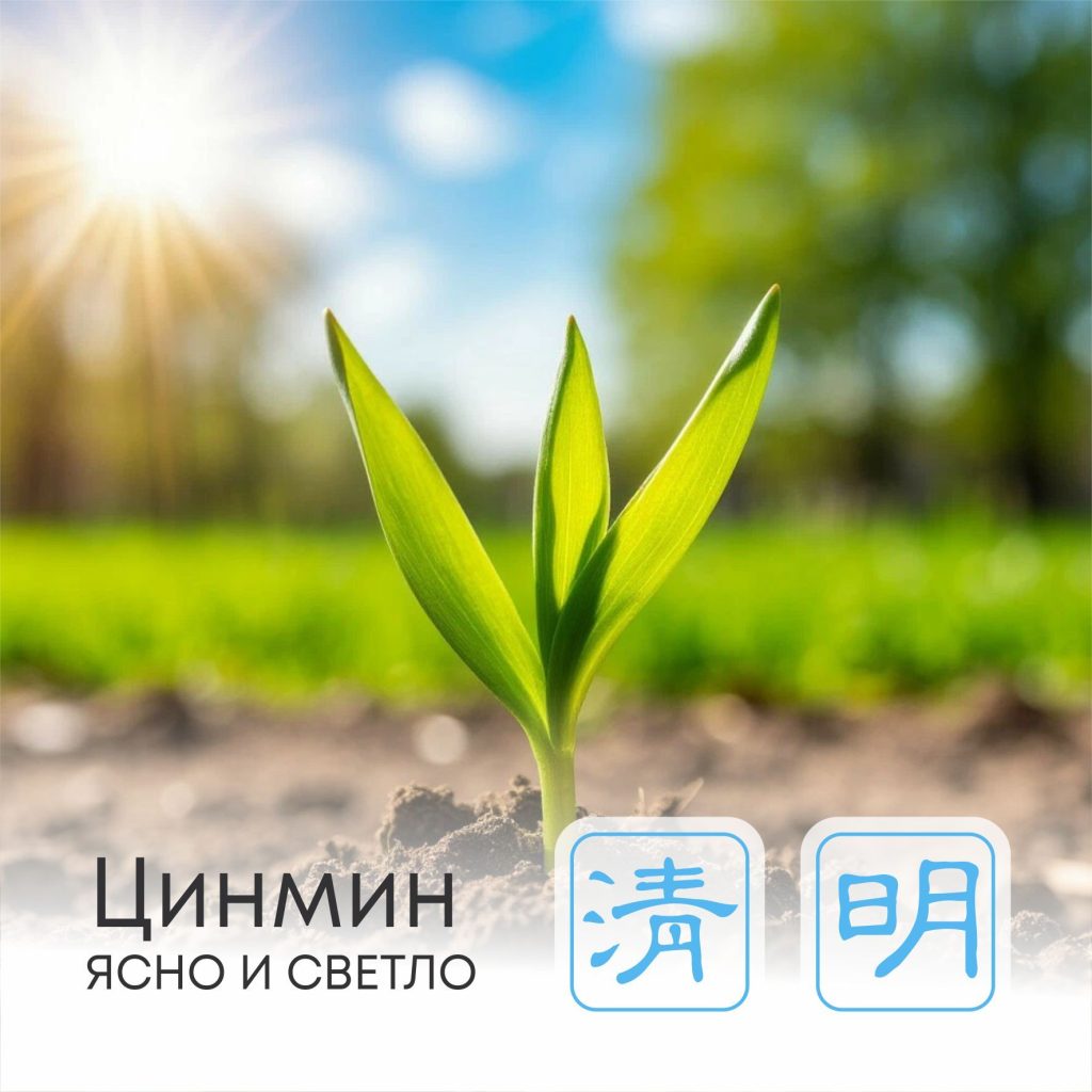 QingMimg 2026