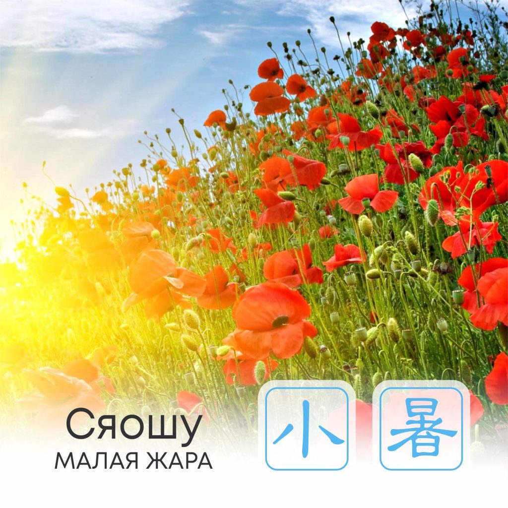 XiaoShu 2026